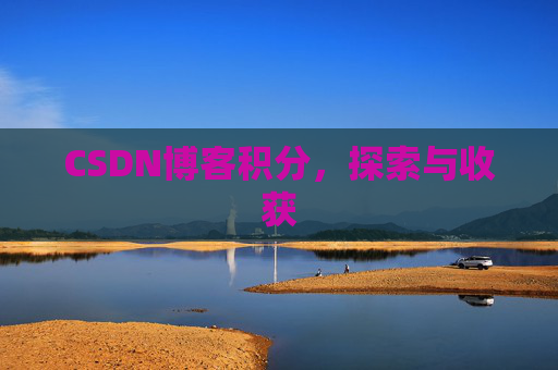 CSDN博客积分，探索与收获